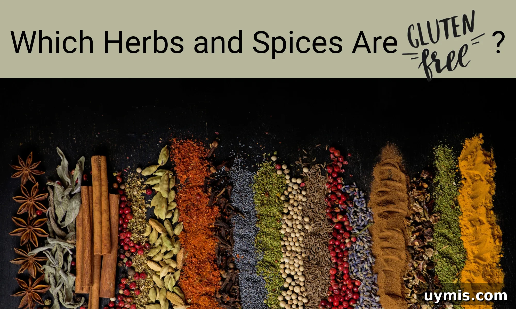 Are Herbs and Spices Gluten Free? What to Know 2 A black surface showcasing an arrangement of different herbs and spices. The text reads, "Which Herbs and Spices Are Gluten-Free?"