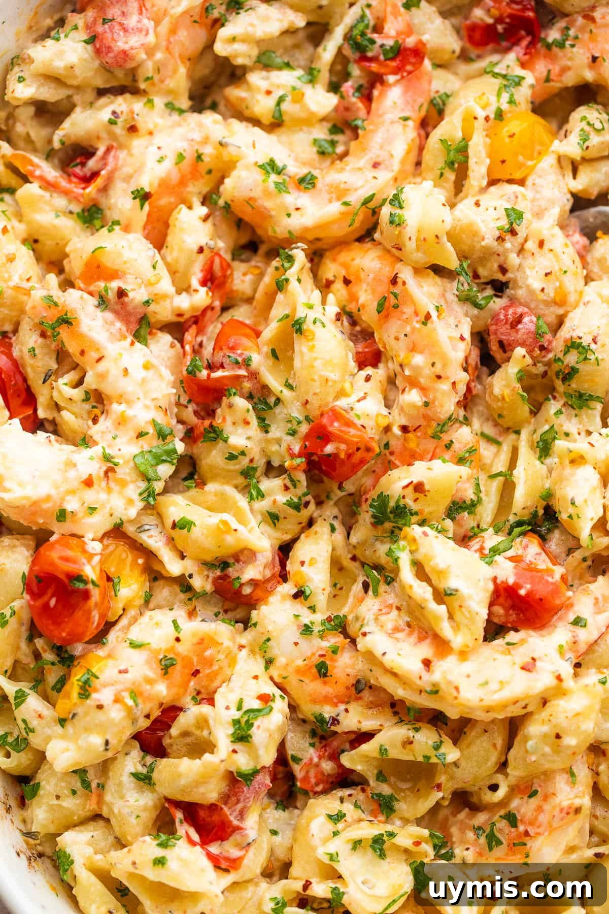 Creamy Baked Shrimp Pasta with Cream Cheese 6 shrimp and pasta tossed with a cream cheese sauce and cherry tomatoes