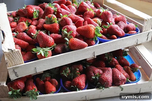 strawjam9 Fresh strawberry balsamic jam