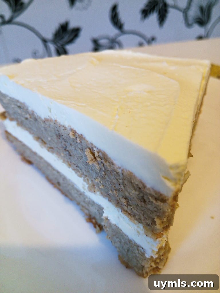 Low Carb Sugar Free Cinnamon Sponge Cake Recipe 2 sugar free cinnamon sponge cake