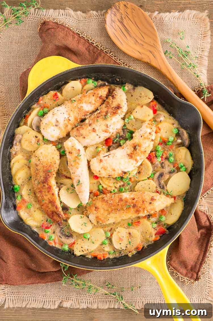 Rustic Country Chicken Skillet Recipe 7 Country Chicken Skillet Recipe