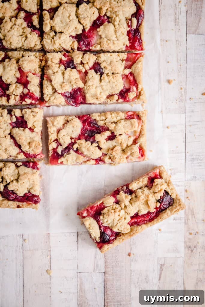Gluten Free Apple Cranberry Oat Bars Recipe 2 overhead of apple cranberry bars on a white surface