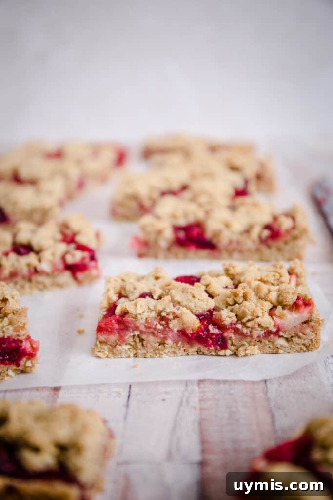 Gluten Free Apple Cranberry Oat Bars Recipe 3 side view of apple and cranberry bars