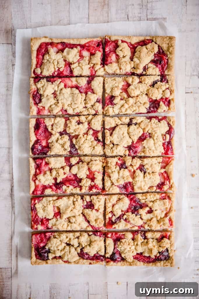 Gluten Free Apple Cranberry Oat Bars Recipe 7 overhead of apple cranberry bars on a white surface