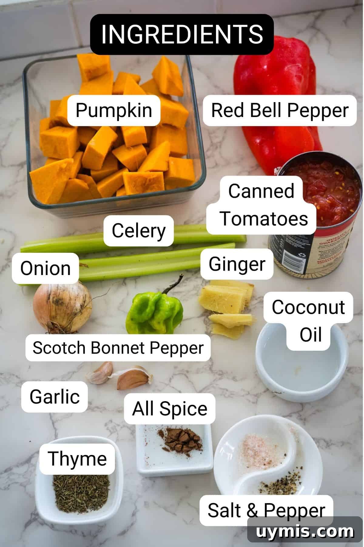 A layout of cooking ingredients including Caribbean Spiced Pumpkin, red bell pepper, canned tomatoes, celery, ginger, coconut oil, onion, scotch bonnet pepper, garlic, thyme, allspice, and salt & pepper on a countertop.