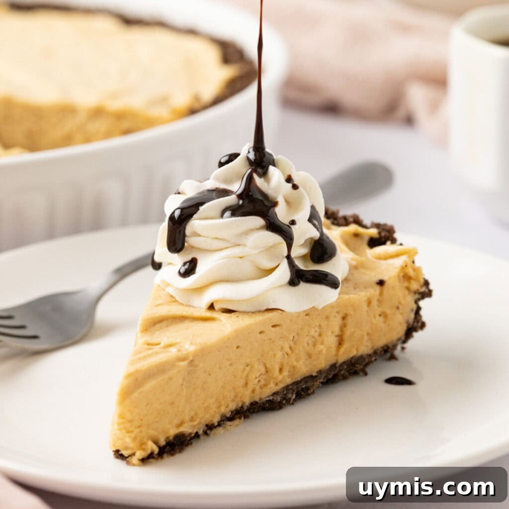 Lemon Icebox Pie Recipe with Creamy No Bake Filling 12 A slice of creamy Peanut Butter Pie with a chocolate crust on a white plate, topped with whipped cream and drizzled with rich chocolate sauce.