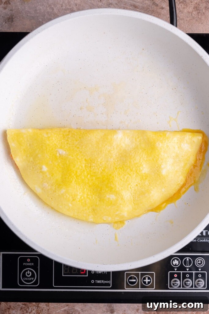 Smoked Salmon Omelet with Lox and Schmear, 5 Ingredients 9 Omelet folded over in pan.