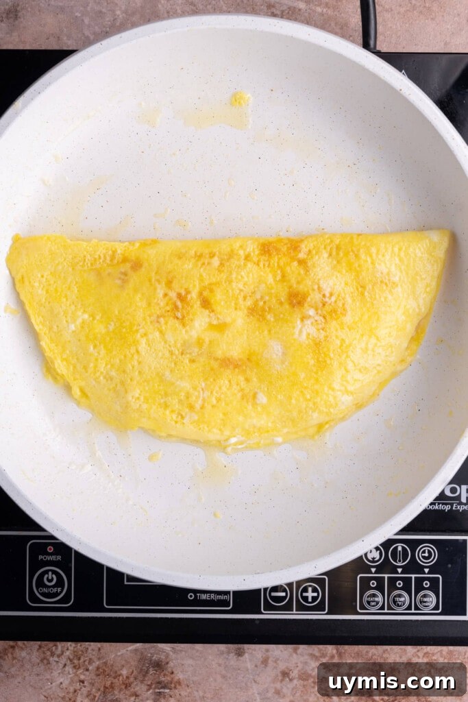 Smoked Salmon Omelet with Lox and Schmear, 5 Ingredients 10 Omelet just flipped in pan.