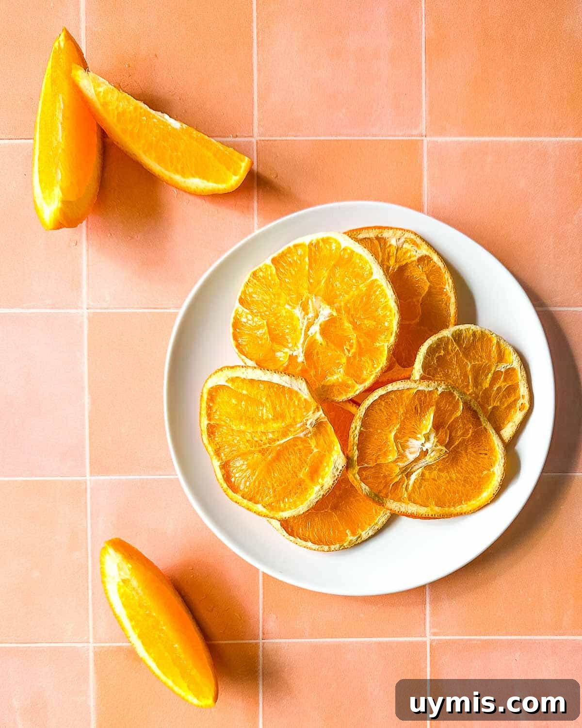 Air fryer dehydrated orange slices on a white plate surrounded by fresh orange slices.