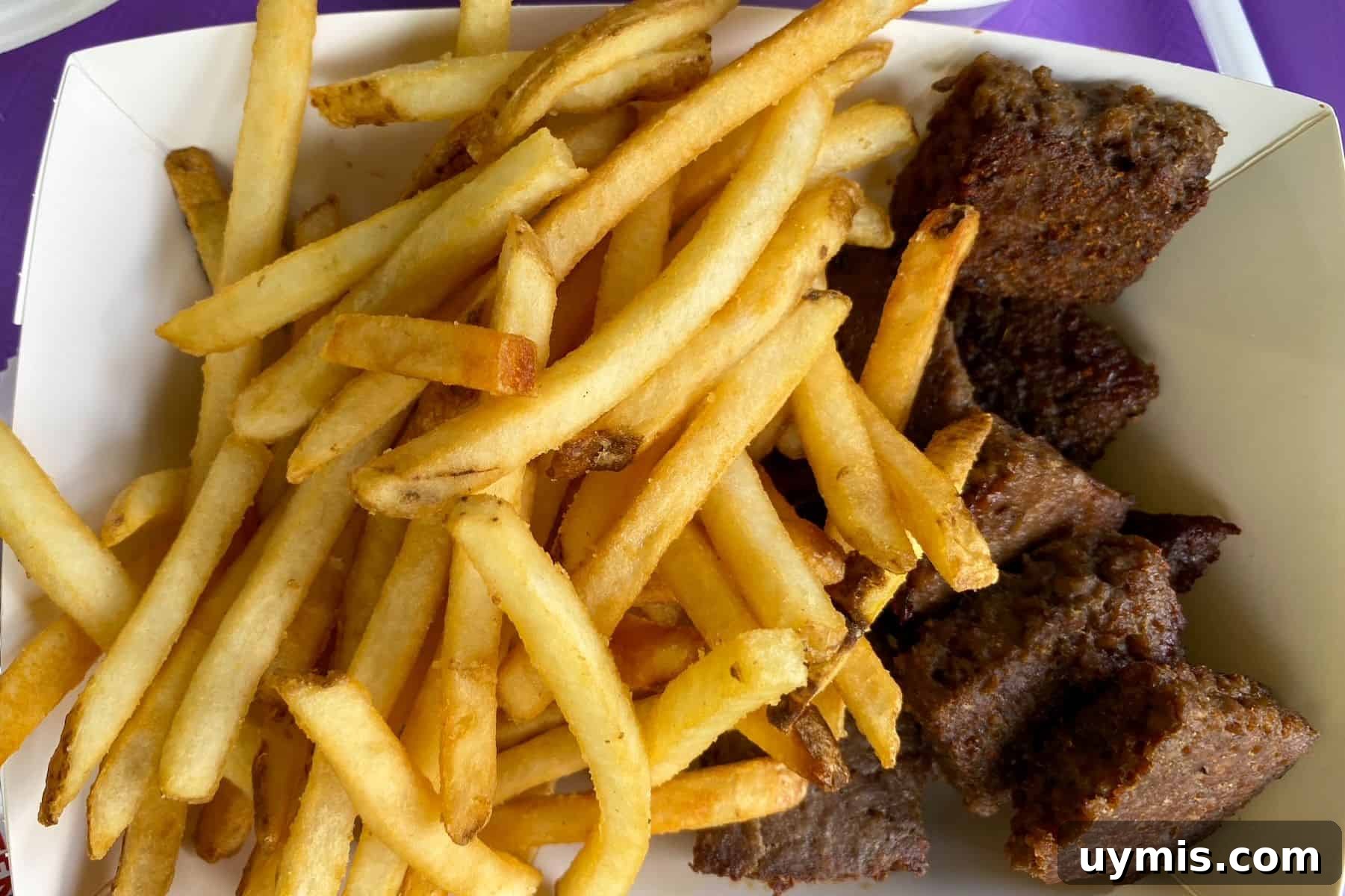 Flame Tree Barbecue at Disney's Animal Kingdom Guide 16 flame tree bbq impossible burnt ends with fries