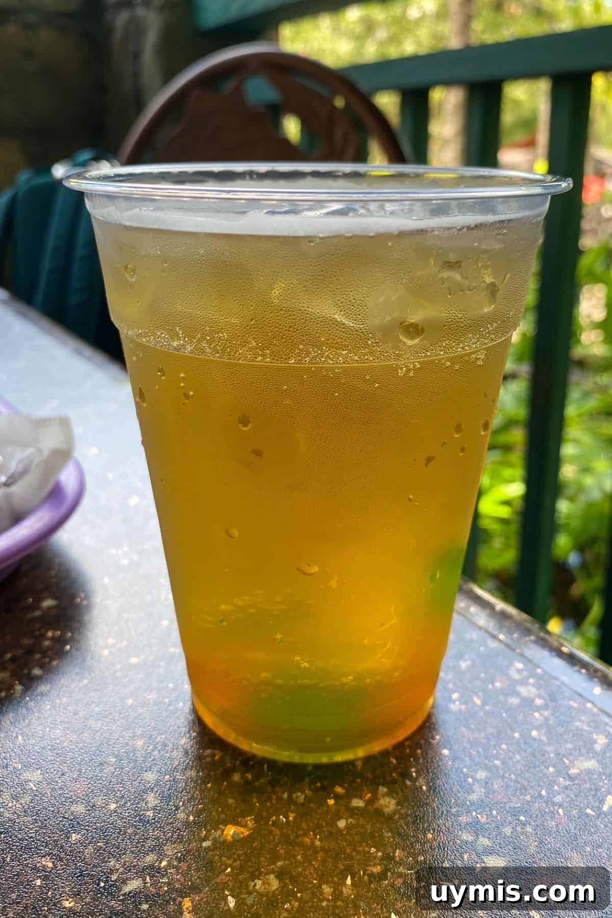 Flame Tree Barbecue at Disney's Animal Kingdom Guide 18 flame tree bbq rotten apple drink