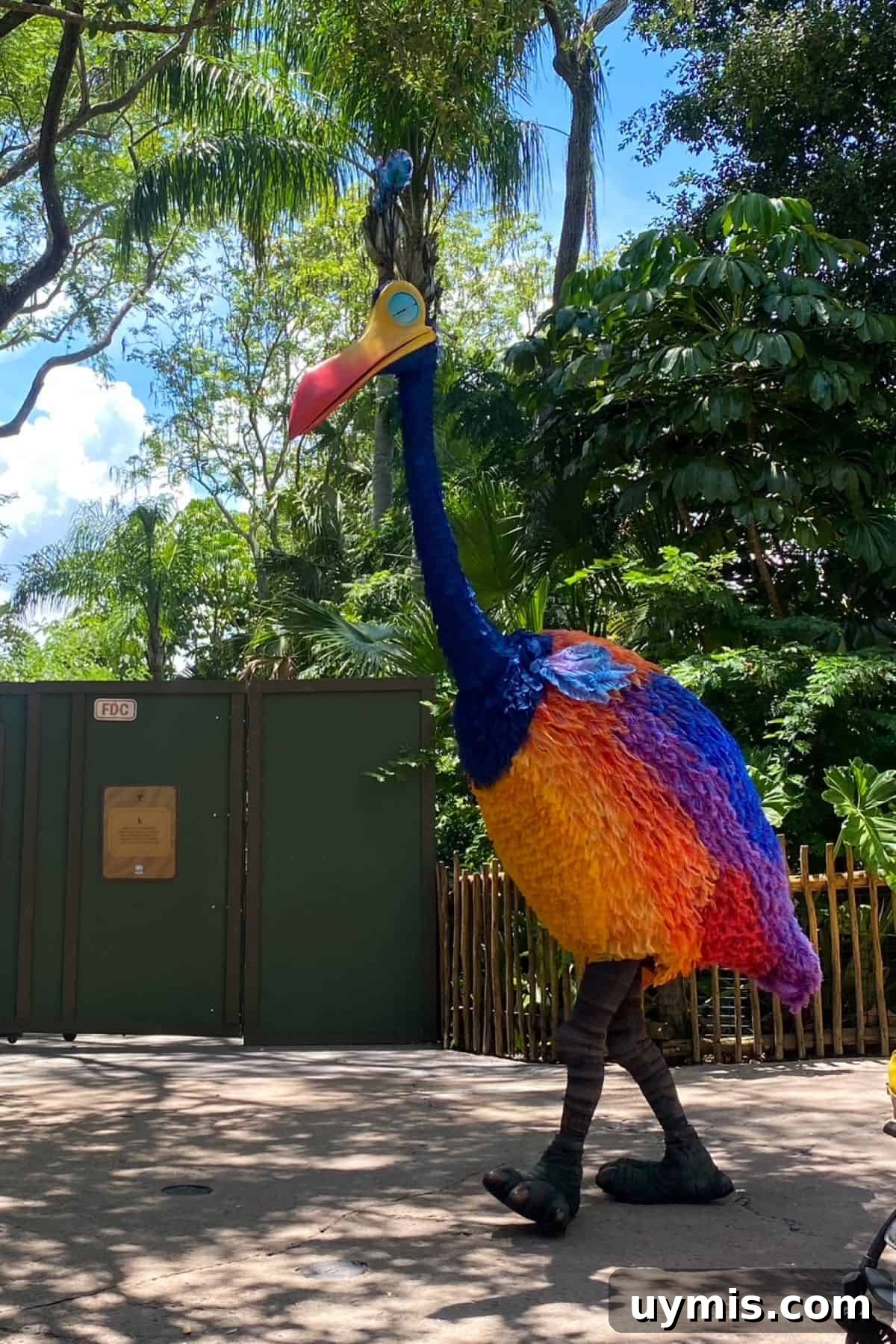 Flame Tree Barbecue at Disney's Animal Kingdom Guide 22 animal kingdom ups kevin character meet and greet
