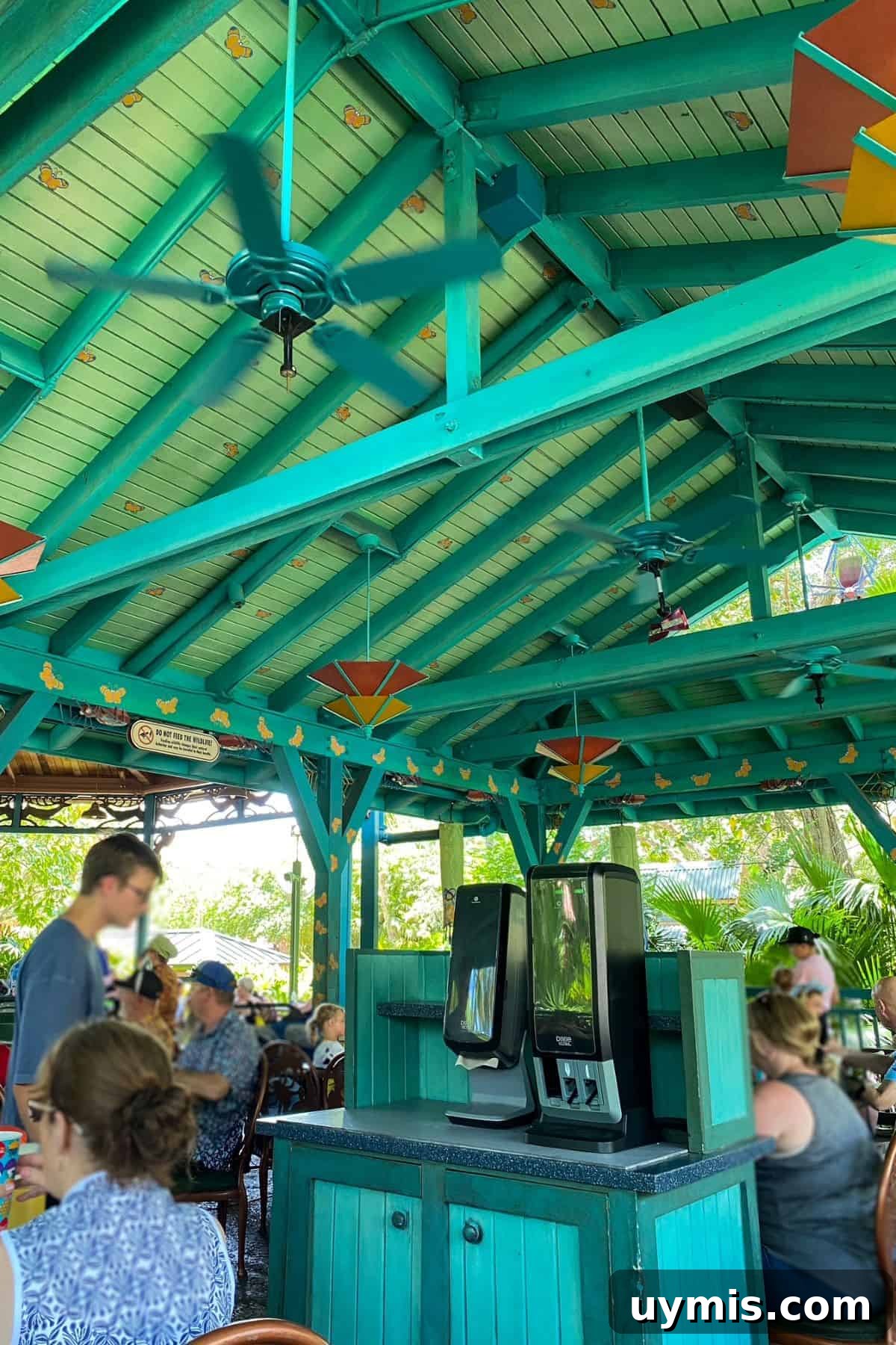 Flame Tree Barbecue at Disney's Animal Kingdom Guide 6 flame tree barbecue dining area and pavillion