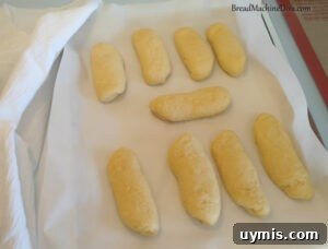 Homemade Challah Hot Dog Bun Recipe 14 Challah Hot Dog Buns Rising