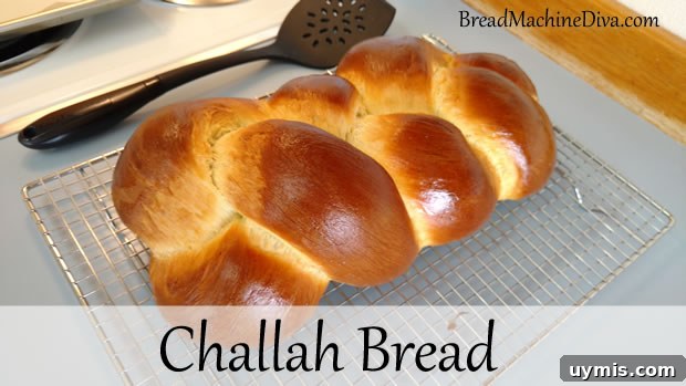 Homemade Challah Hot Dog Bun Recipe 3 Challah Bread