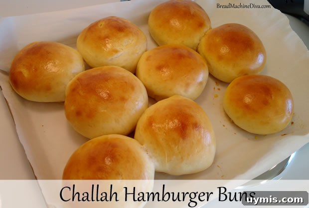Homemade Challah Hot Dog Bun Recipe 5 Challah Hamburger Buns