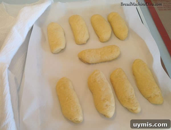Homemade Challah Hot Dog Bun Recipe 8 Challah Hot Dog Buns Rising