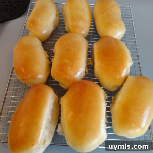 Challah hot dog buns
