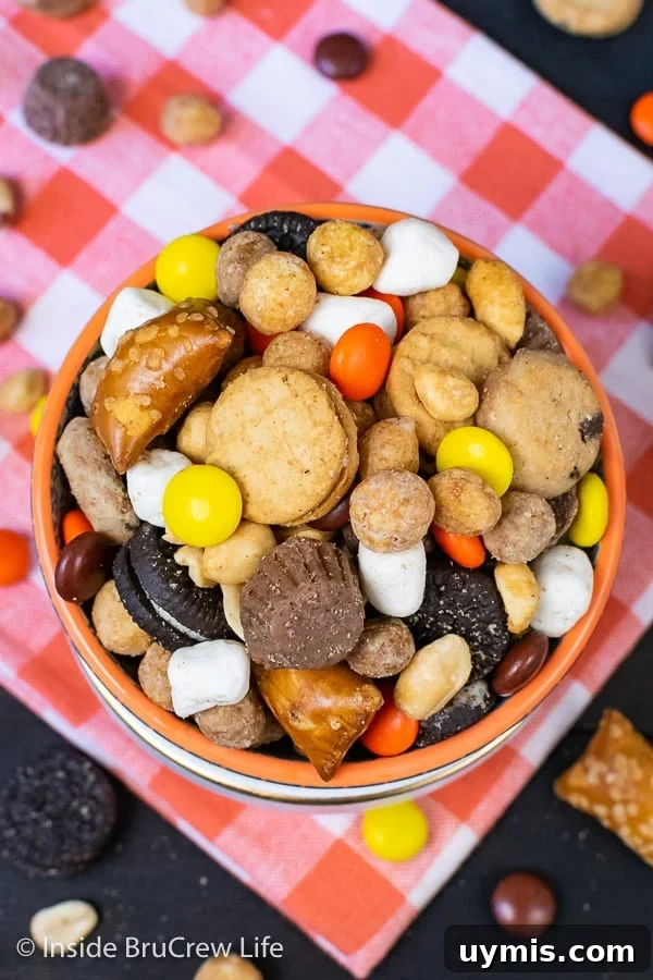 Sweet and Salty Trail Mix Sweet and Salty Trail Mix - sweet cookies and candies and salty pretzels and peanuts make this homemade snack mix disappear in a hurry!
