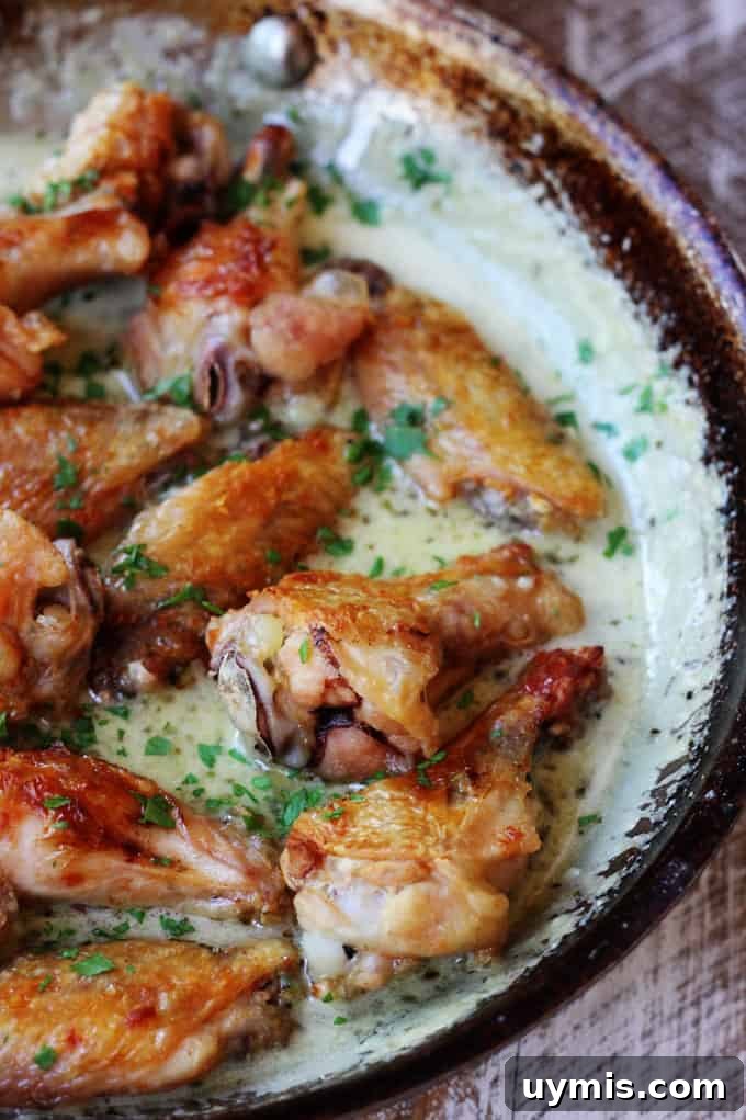 Chicken wings with creamy garlic Parmesan sauce in a skillet Chicken wings with garlic parmesan sauce in a skillet